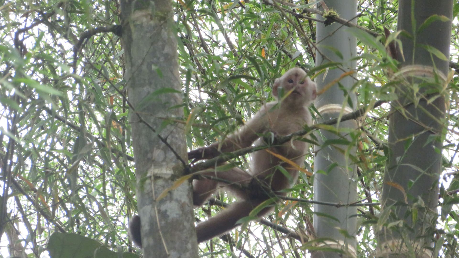 Naturaleza y Fauna