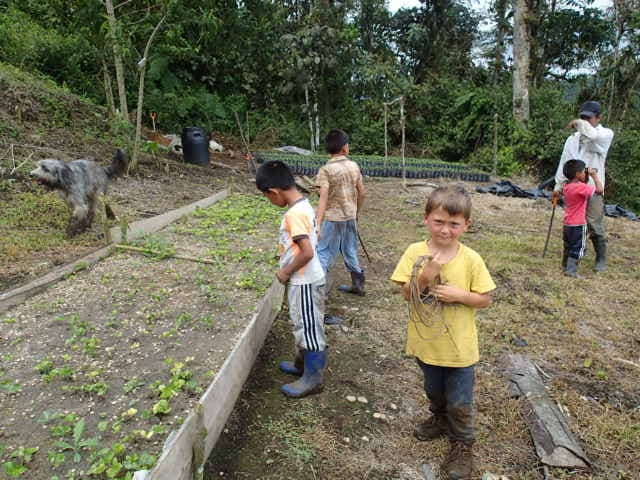 Kinder bei der Arbeit in den Permakultur-Beeten der Finca