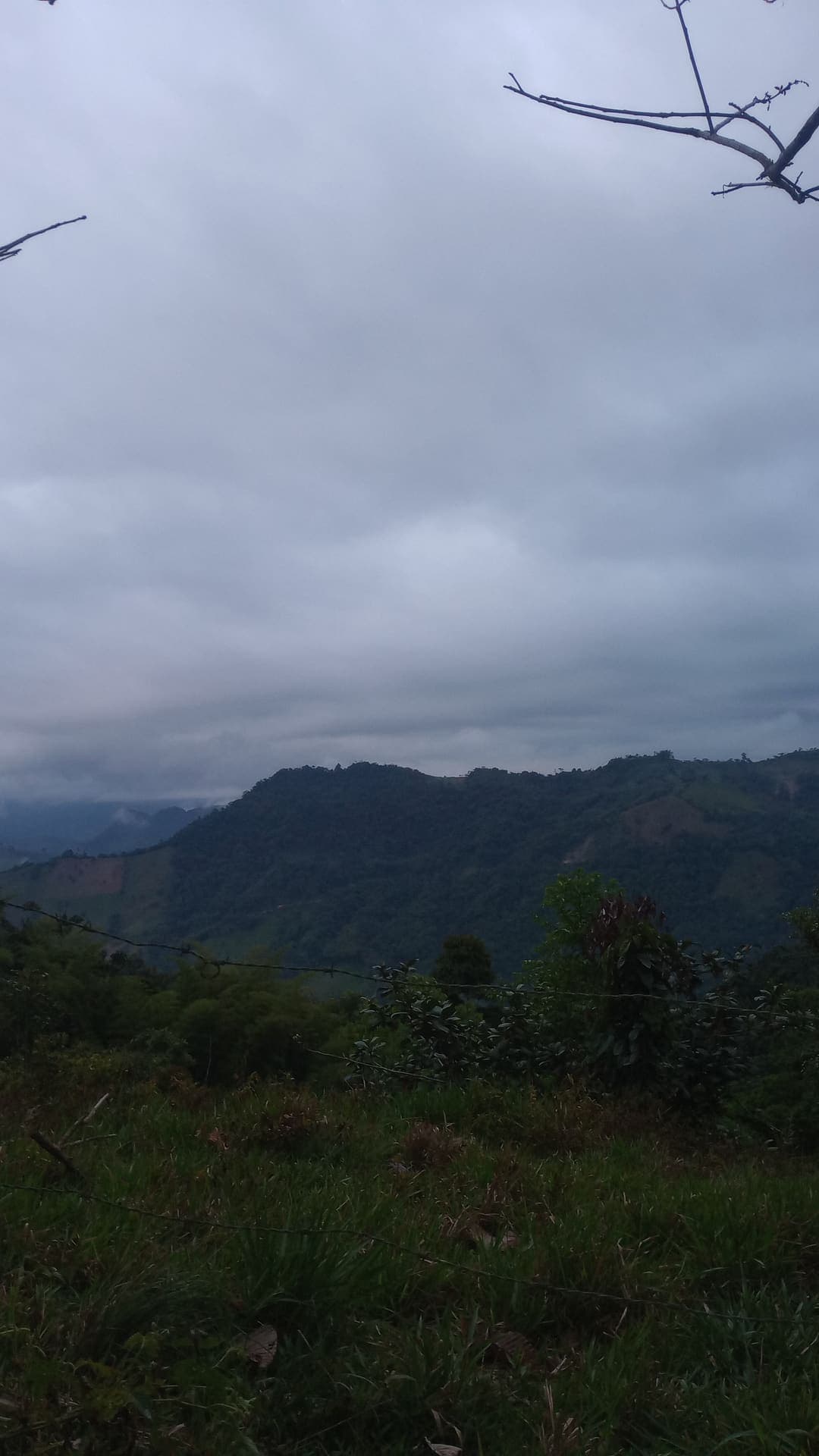 Paisaje y Bosque Nublado